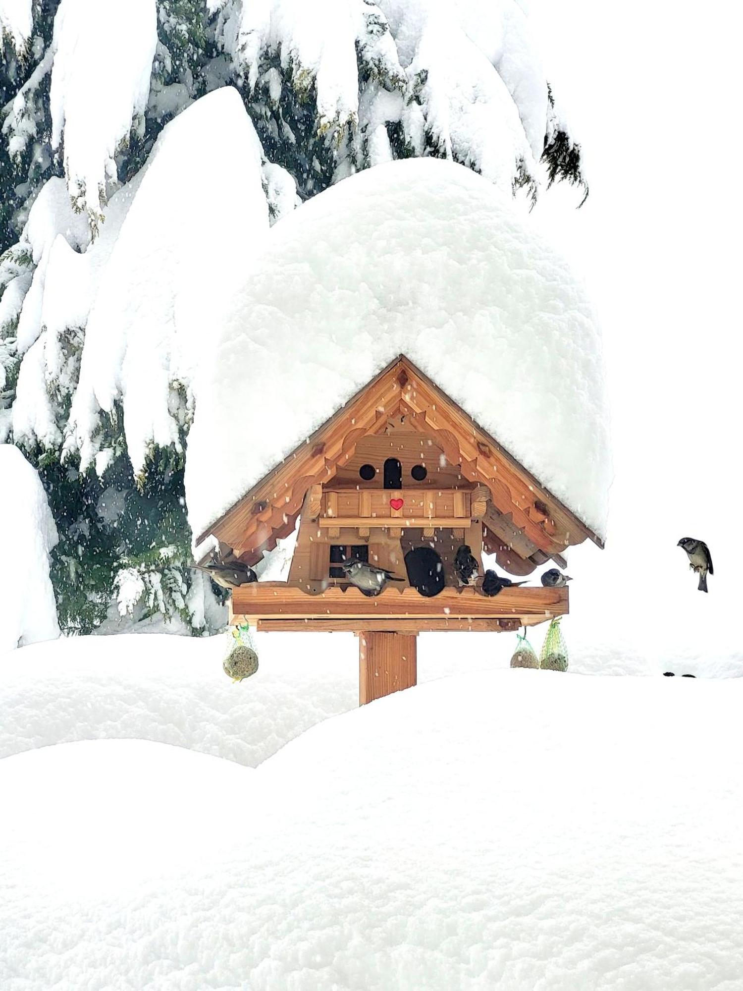 Gaestehaus Herma Ramsau am Dachstein Buitenkant foto