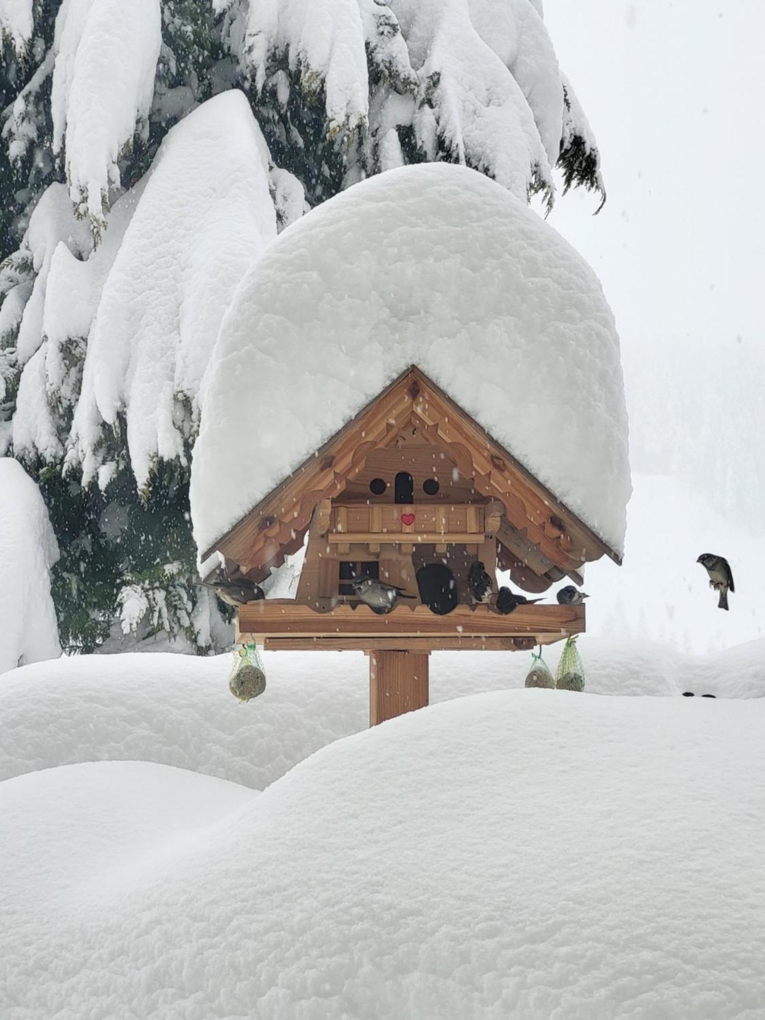 Gaestehaus Herma Ramsau am Dachstein Buitenkant foto
