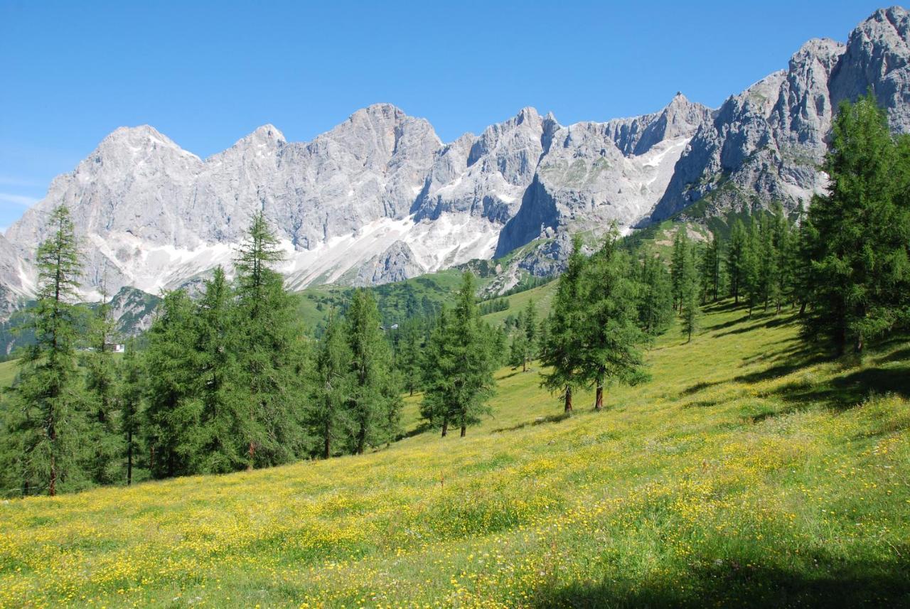 Gaestehaus Herma Ramsau am Dachstein Buitenkant foto