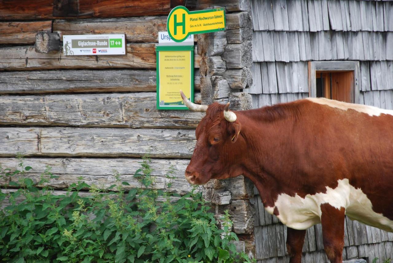 Gaestehaus Herma Ramsau am Dachstein Buitenkant foto