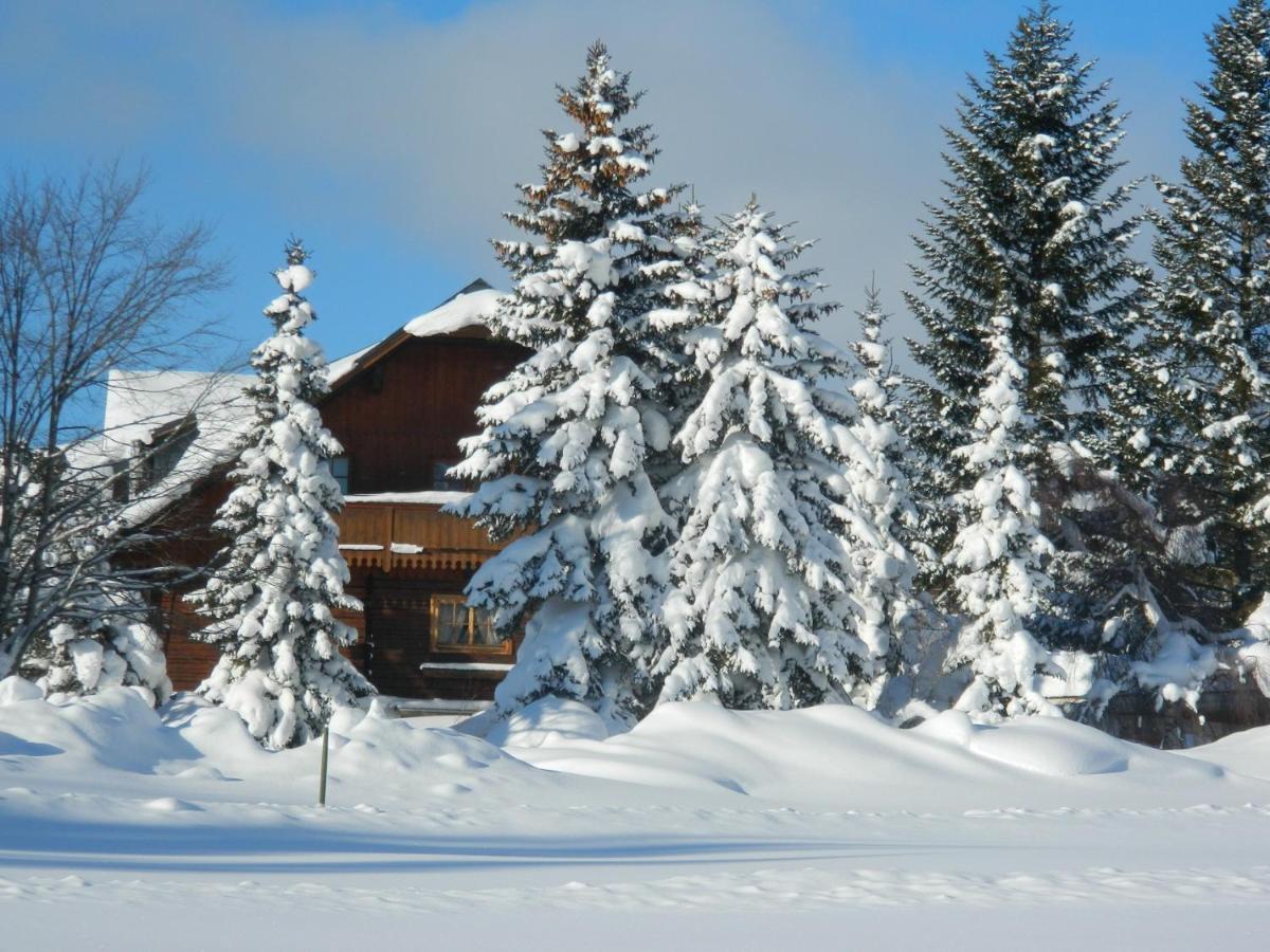 Gaestehaus Herma Ramsau am Dachstein Buitenkant foto